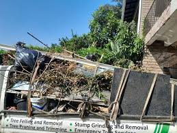 Best Hoarding Cleanup  in Elmer, NJ